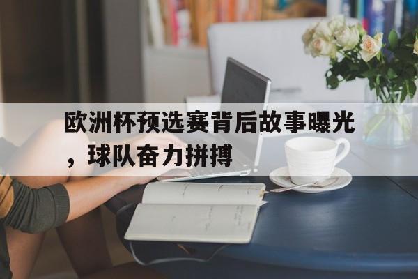 欧洲杯预选赛背后故事曝光，球队奋力拼搏的简单介绍